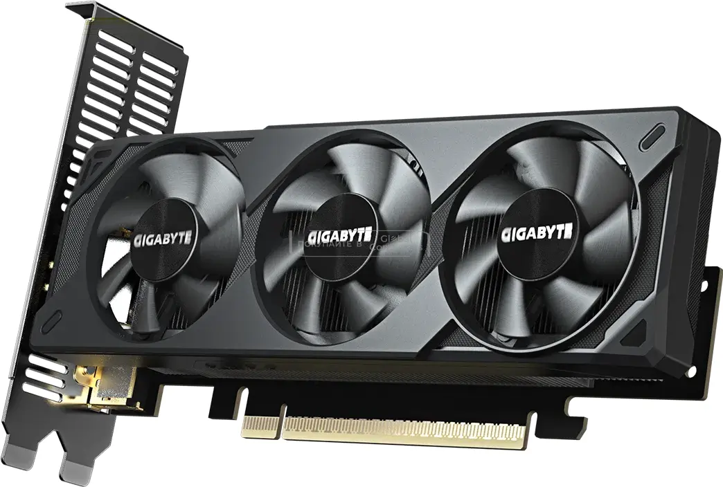 GIGABYTE GeForce RTX 5060 OC Low Profile 8G (9VN5060O8L-00-G10) фото