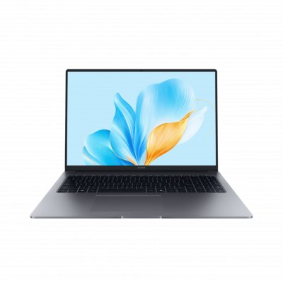 HONOR MagicBook X16 2025 16" FHD Intel Core i7 13620H/16GB/1TB SSD/Win 11 BRG-761 фото