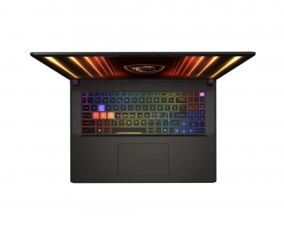 MSI Vector 17 HX AI A2XWHG-240XRU 17" QHD Core Ultra 9 275HX/32GB/1TB SSD/RTX 5070Ti/Win 11 фото