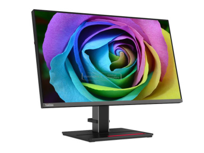 Lenovo ThinkVision Creator Extreme (F20270UP0) фото